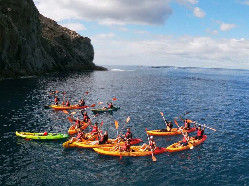 Tenerife: Kayak & Snorkeling, Marine Fauna Watching - Who This Tour Suits Best (And Who Should Skip It)