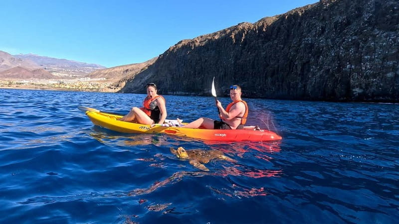 Tenerife: Kayak & Snorkeling Tour - Small Groups - Los Cristianos office to beach launch, the part that makes it feel easy