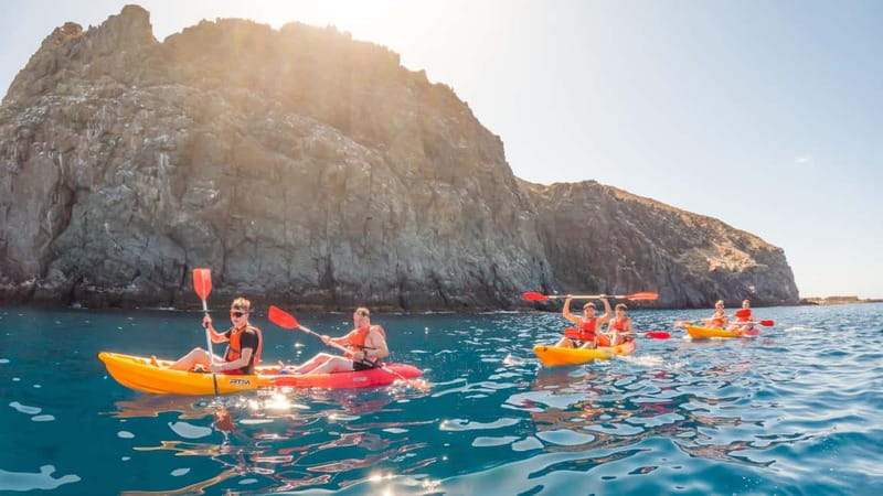 Tenerife: Kayak & Snorkeling Tour - Small Groups - Kayaking along the coast: volcanic views and real chances for wildlife