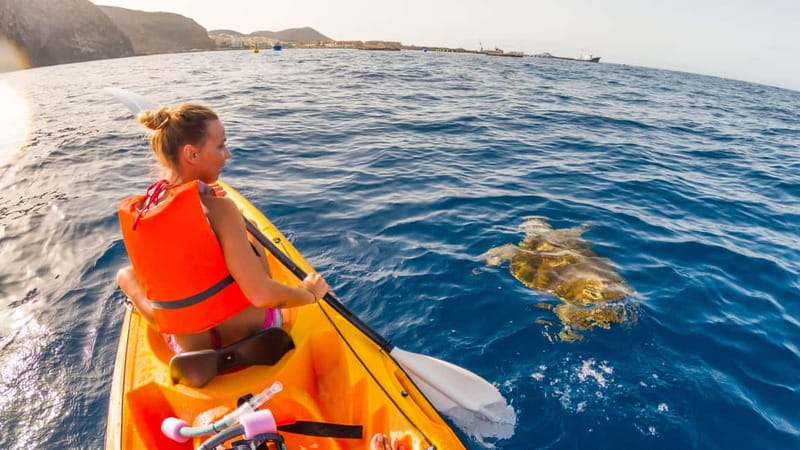 Tenerife: Kayak & Snorkeling Tour - Small Groups - Who should book this (and who should skip it)