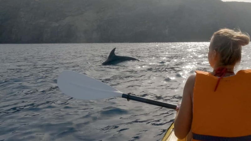 Tenerife: Kayak & Snorkeling Tour - Small Groups - Small practical tips so your day feels smoother