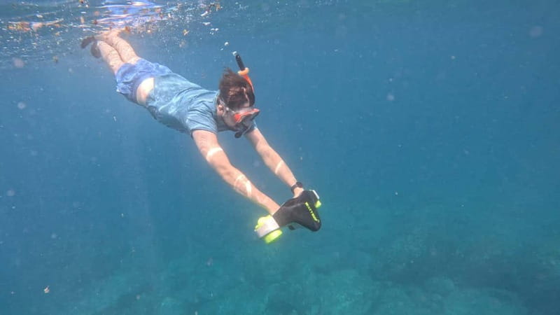 Tenerife: Kayak Tour with Animals and Underwater Scooters - Atlantic Views You Actually Get to See: Teide and La Gomera from open water