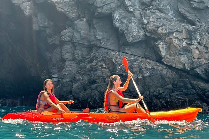 Tenerife Kayak Tour with Marine Wildlife Spotting and Snorkeling - Wildlife Spotting for Dolphins and Turtles: What to Expect and How to Improve Your Odds
