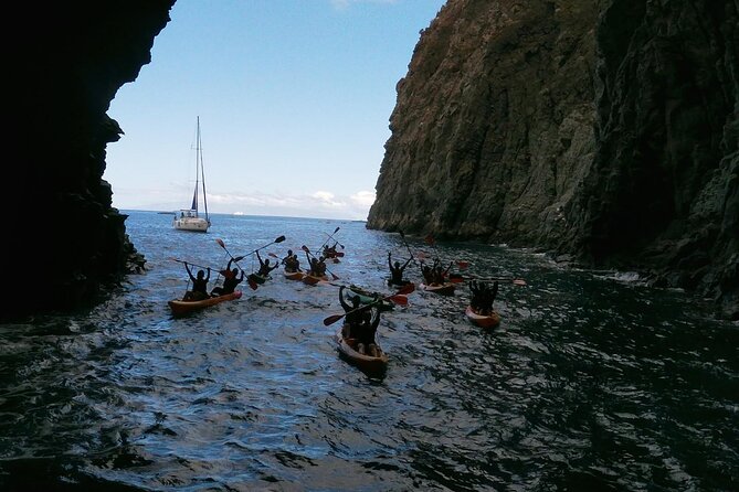 Tenerife Kayak Tour with Marine Wildlife Spotting and Snorkeling - What the $42.05 Price Includes, and Where the Value Comes From