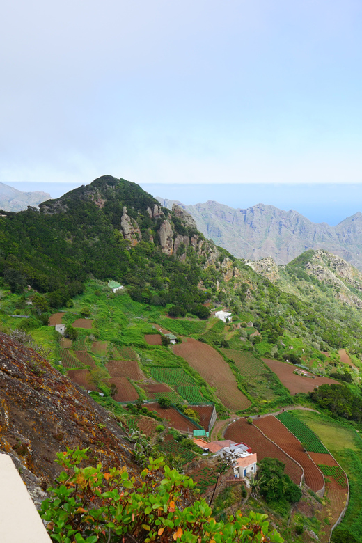 Tenerife: La Laguna & Anaga hike - Getting There and Back: Pickup Times, Bus Comfort, and Schedule Reality