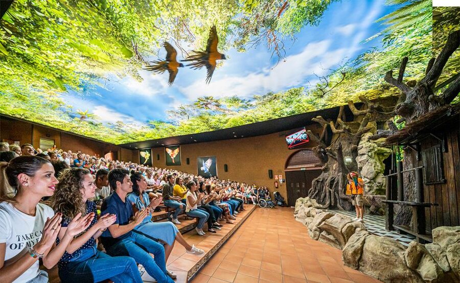 Tenerife: Loro Parque Entry Ticket - Key Things That Make This Ticket Worth It