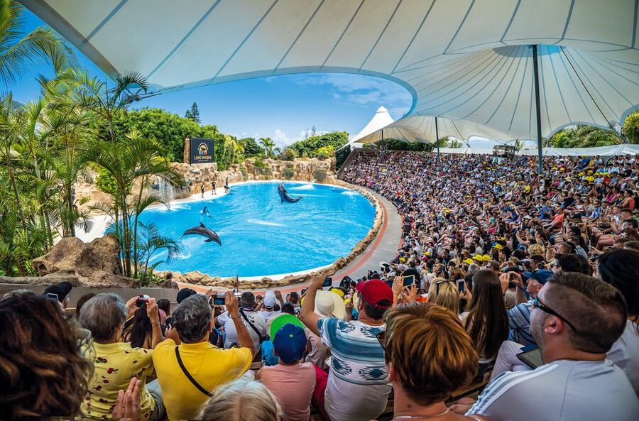 Tenerife: Loro Parque Entry Ticket - Ticket Value for $52: What You Get (and How It Adds Up)