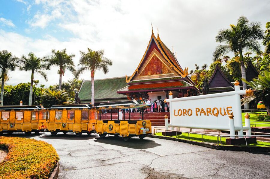 Tenerife: Loro Parque & Siam Park Entry Ticket with Transfer - Twin ticket that makes Tenerife feel like two vacations