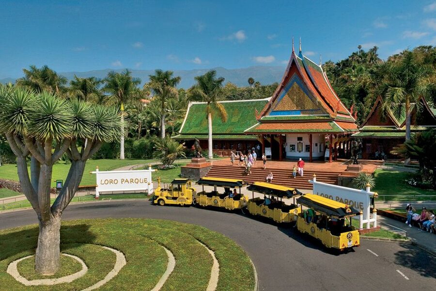 Tenerife: Loro Parque & Siam Park Entry Ticket with Transfer - Siam Park day: wave power, raft rides, and Thai-themed thrills