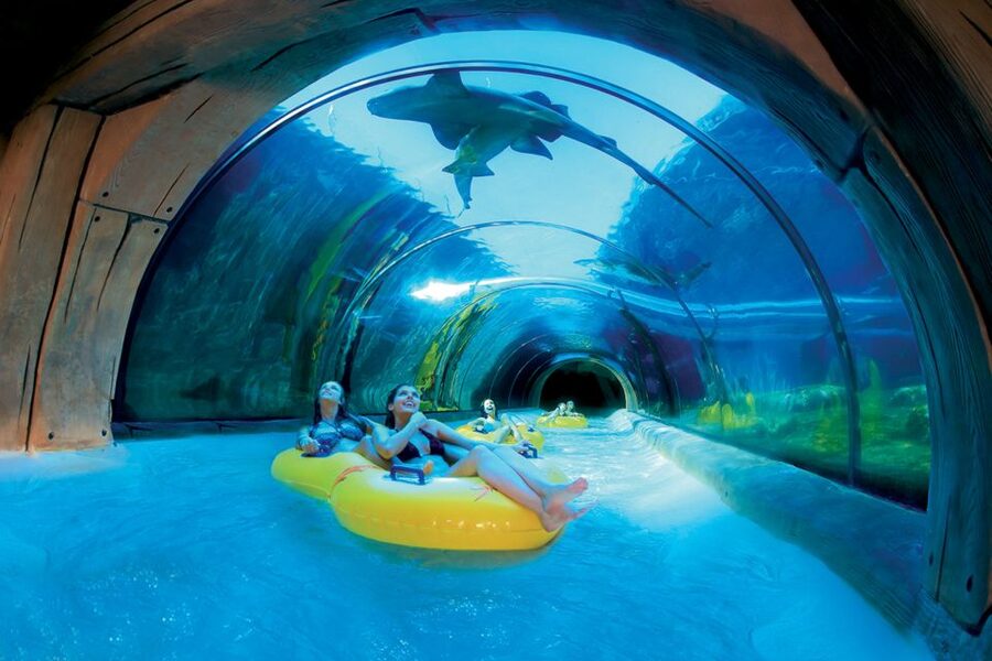 Tenerife: Loro Parque & Siam Park Entry Ticket with Transfer - Fingerprints and ticket checks: the part that catches people off guard