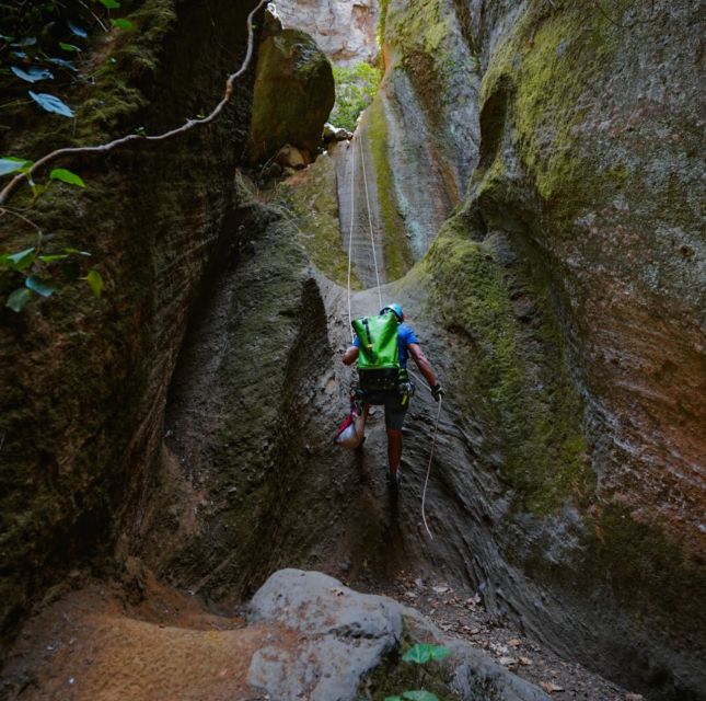 Tenerife: Los Arcos Canyoning Tour with Guide - Forest track walking: the calm before the first rappel