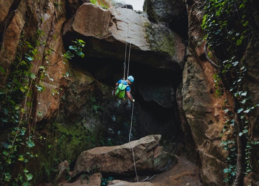 Tenerife: Los Arcos Canyoning Tour with Guide - Orange rock, moss, and volcanic geology you can see up close