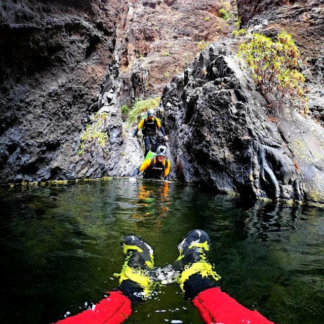 Tenerife: Los Carrizales Water Canyoning Tour - Safety briefing and gear: what you’ll do before the first drop