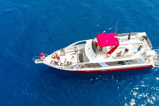 Tenerife Los Cristianos: Whale and Dolphin Eco-Yacht and Swim Stop - Value and vibe: why 1 hour 40 minutes can still feel like a win