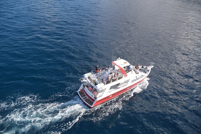 Tenerife Los Cristianos: Whale and Dolphin Eco-Yacht and Swim Stop - Stop moments at Los Cristianos and Playa de Los Cristianos