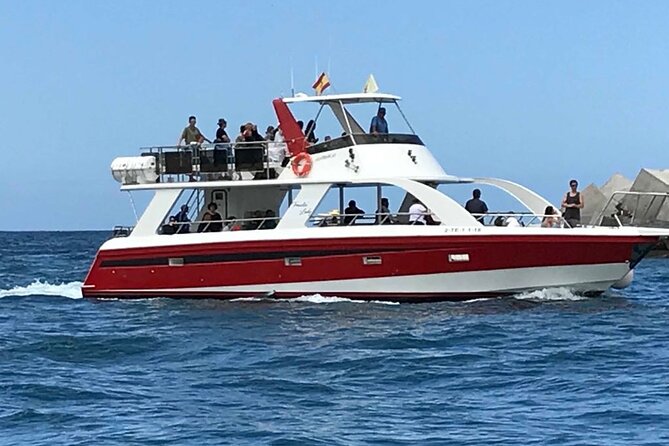 Tenerife Los Cristianos: Whale and Dolphin Eco-Yacht and Swim Stop - Sailing past the Cave of Love: scenery that earns its keep