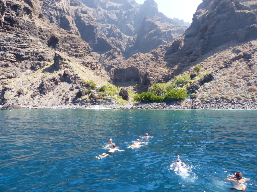 Tenerife: Los Gigantes Whale Watching Cruise by Sail Boat - Who this cruise fits best, and who should skip it