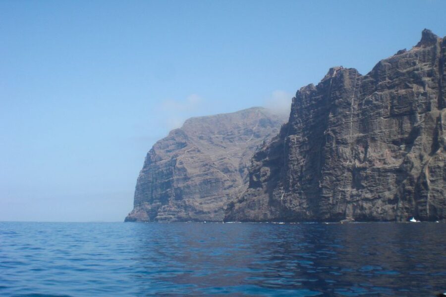 Tenerife: Luxury Private Whale & Dolphin Watching Tour - Key highlights you will care about