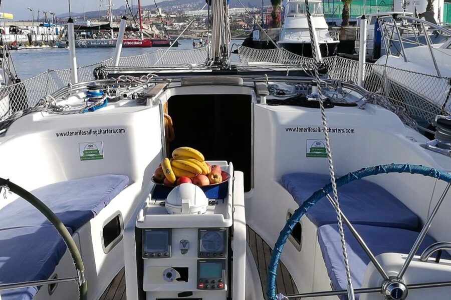 Tenerife: Luxury Private Whale & Dolphin Watching Tour - The 3 to 6 hour sailing window: how spotting usually plays out