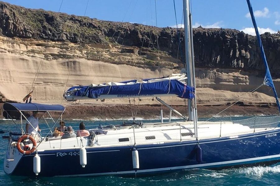 Tenerife: Luxury Private Whale & Dolphin Watching Tour - What languages you can expect from the captain and guide
