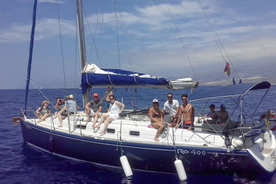 Tenerife: Luxury Private Whale & Dolphin Watching Tour - Price and value for a private group up to 11