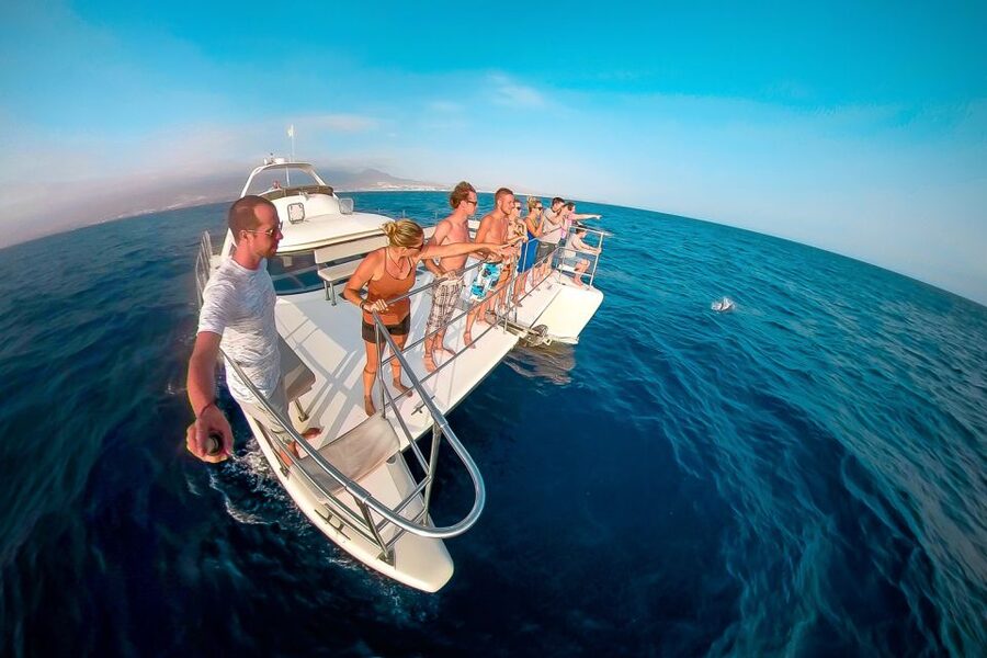 Tenerife: Marine-Life Tour with Transfer, Buffet and Drinks - Tips to make your day smoother (no stress, no scrambling)