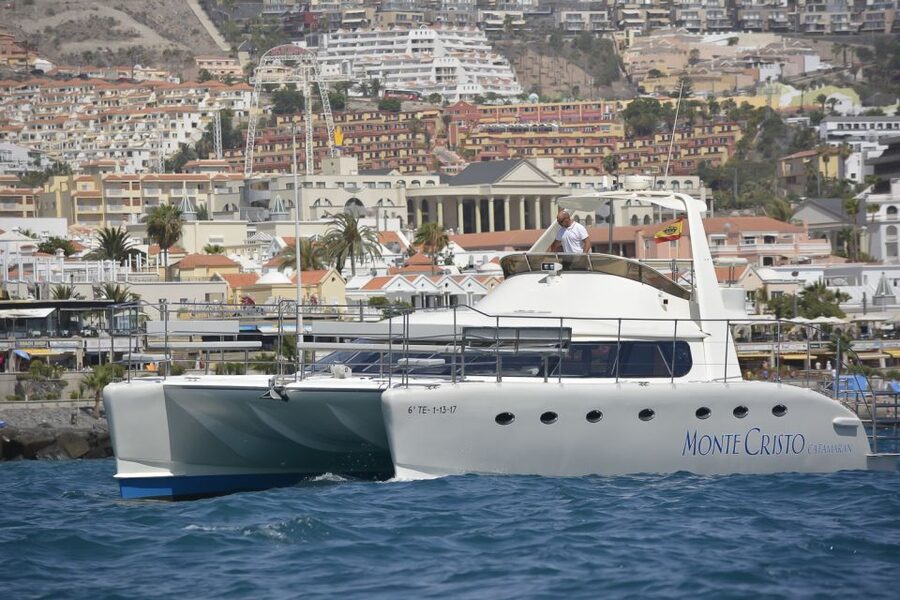 Tenerife: Marine-Life Tour with Transfer, Buffet and Drinks - The marine-life search game: dolphins, whales, and respectful viewing