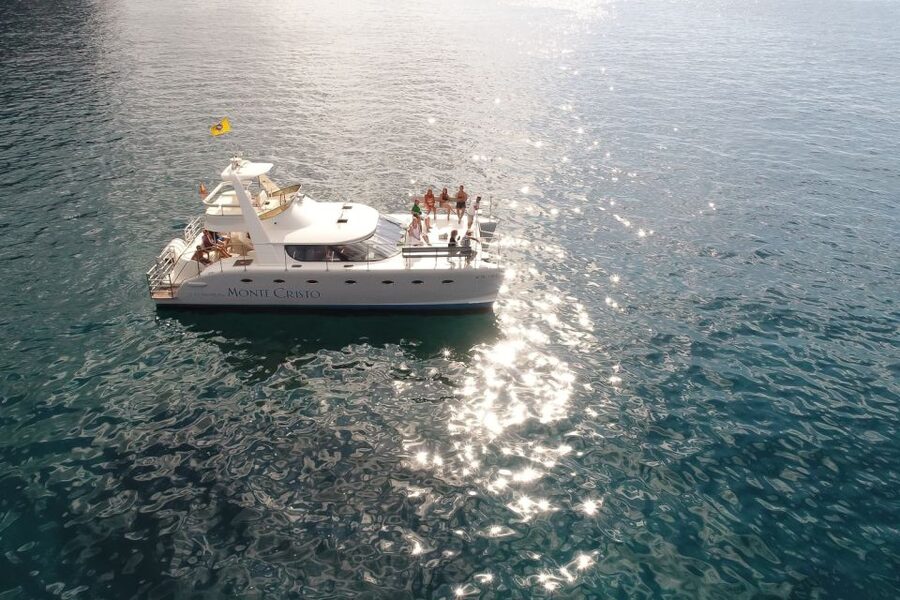 Tenerife: Marine-Life Tour with Transfer, Buffet and Drinks - Who this tour is best for, and who might not love it