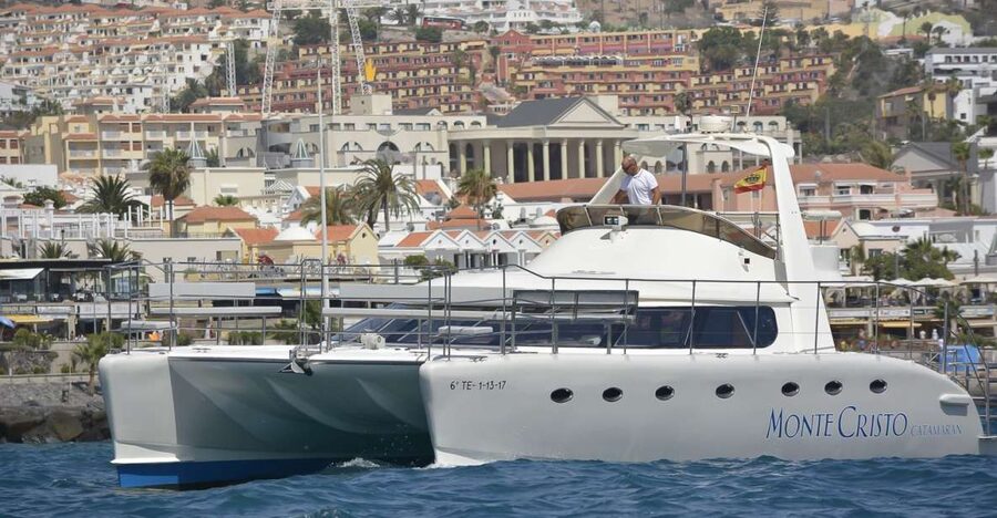 Tenerife: Marine-Life Tour with Transfer, Buffet and Drinks - What 3 hours on the Monte Cristo Catamaran is really like