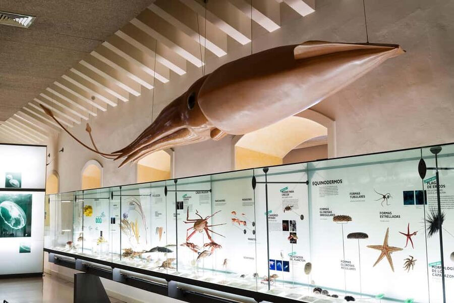Tenerife: MUNA Museum Admission Ticket and Teide Legend Tour - Teide Legend Tour audio route through volcanic terrain