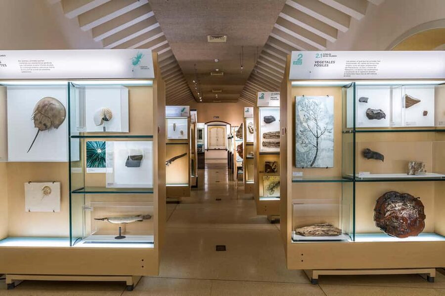 Tenerife: MUNA Museum Admission Ticket and Teide Legend Tour - Teide National Park viewpoints and independent time that you control