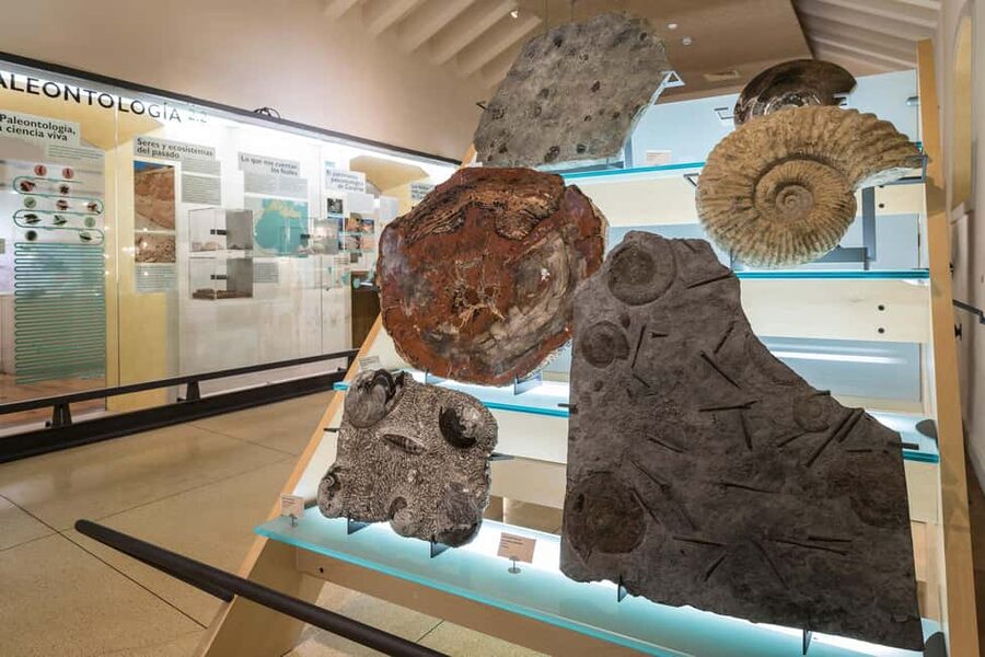Tenerife: MUNA Museum Admission Ticket and Teide Legend Tour - Language options and how to choose yours