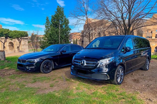 Tenerife North Airport(TFN) to Tenerife -Arrival Private Transfer - Who This Arrival Transfer Fits Best