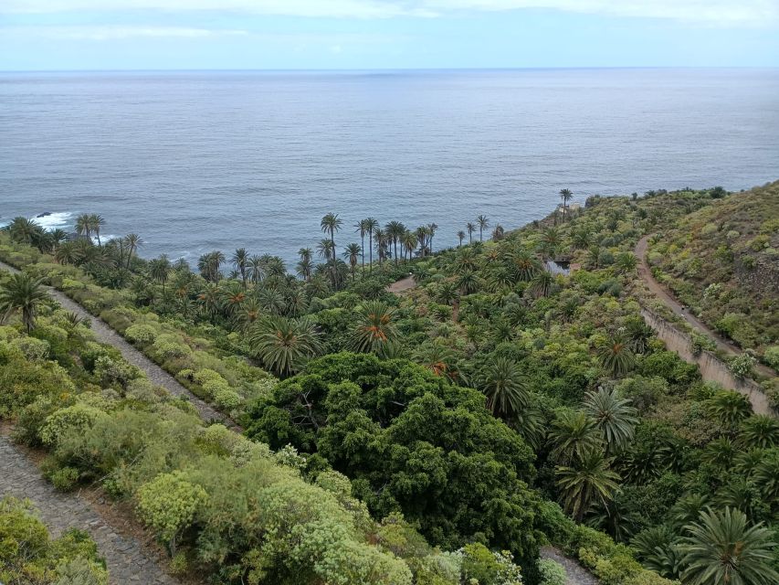 Tenerife: North Coast Landscapes Private Day Tour - Why Tenerife’s North Coast Beats the Usual Sun-and-Swim Route
