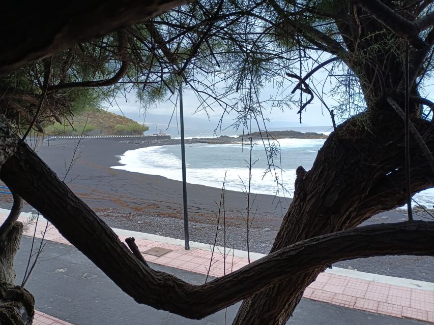 Tenerife: North Coast Landscapes Private Day Tour - San Pedro Viewpoint and Rambla de Castro, Where the North Coast Comes Into Focus