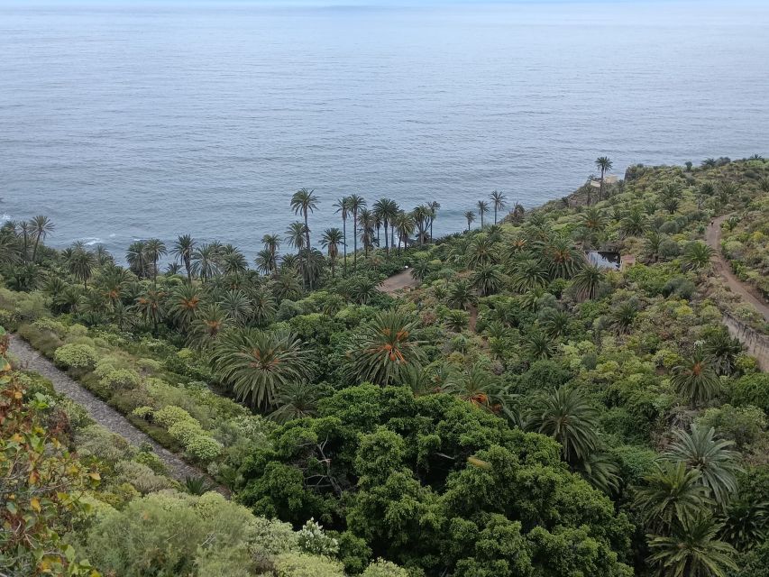 Tenerife: North Coast Landscapes Private Day Tour - Price and Value: Is $115 Worth It?