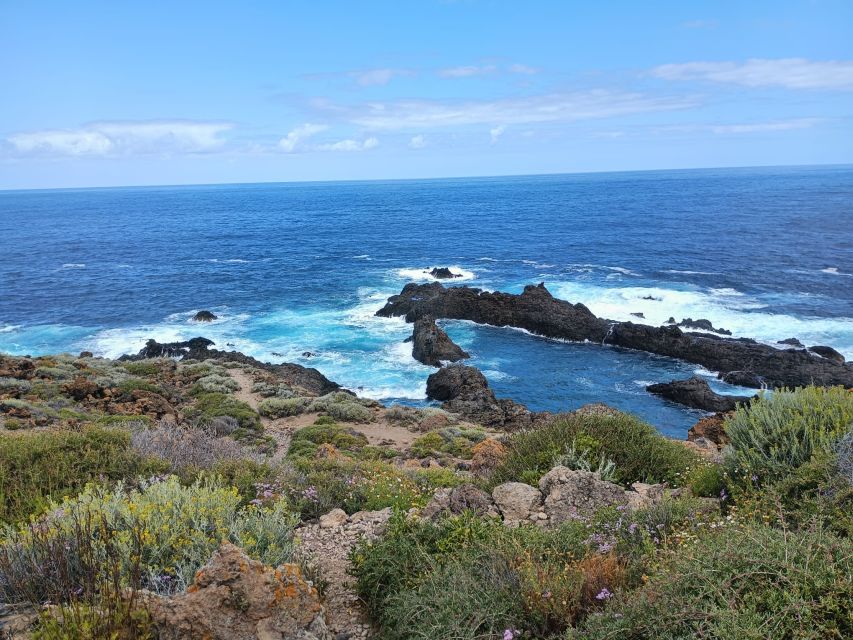 Tenerife: North Coast Landscapes Private Day Tour - The Private Format: Pickup, Air-Conditioned Comfort, and a Real Guide