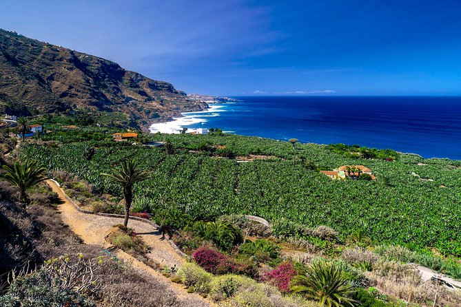 Tenerife North Private Tour: Through Villages and Ports - Key things worth knowing before you go