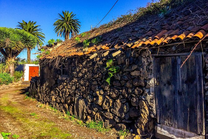 Tenerife North Private Tour: Through Villages and Ports - The pacing: 7 to 8 hours, and how to enjoy it without rushing