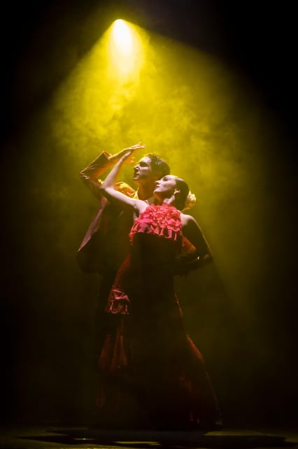 Tenerife : Olé Flamenco Show by Fran Chafino Ticket - Key highlights to notice before you go