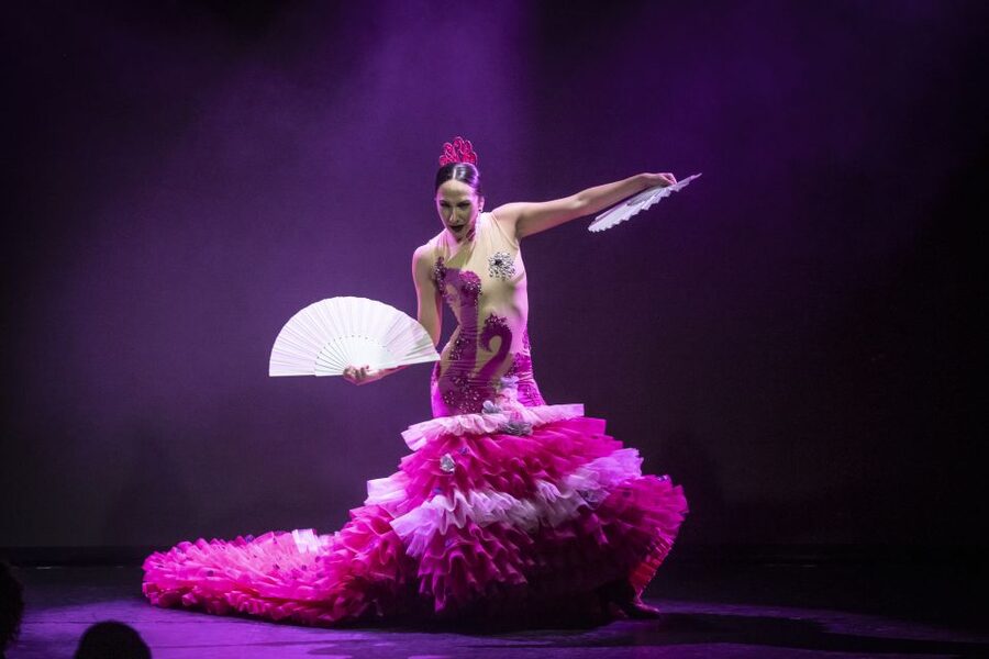 Tenerife : Olé Flamenco Show by Fran Chafino Ticket - Act I (the first 45-ish minutes): light, colour, strength and rhythm