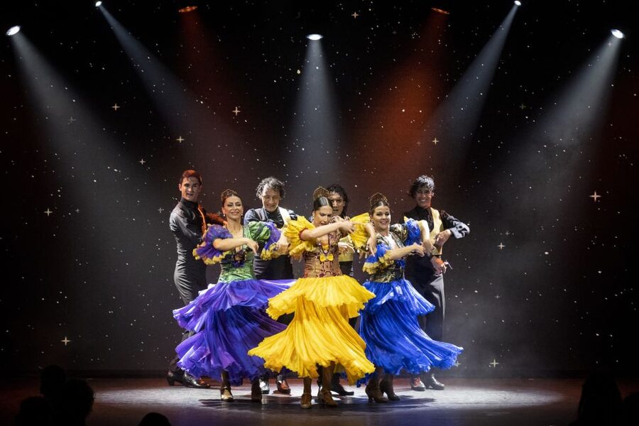 Tenerife : Olé Flamenco Show by Fran Chafino Ticket - Where this show fits best in your Tenerife trip