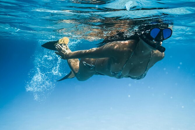 Tenerife Paddle Surf and Snorkeling Experience - Key highlights at a glance