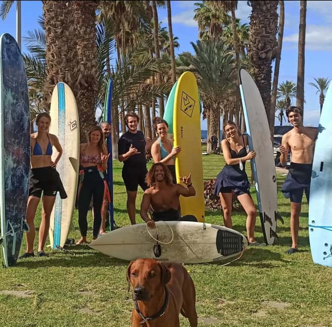 Tenerife: Paddle Surf Experience in Playa de las Américas - Key Highlights You’ll Feel Right Away