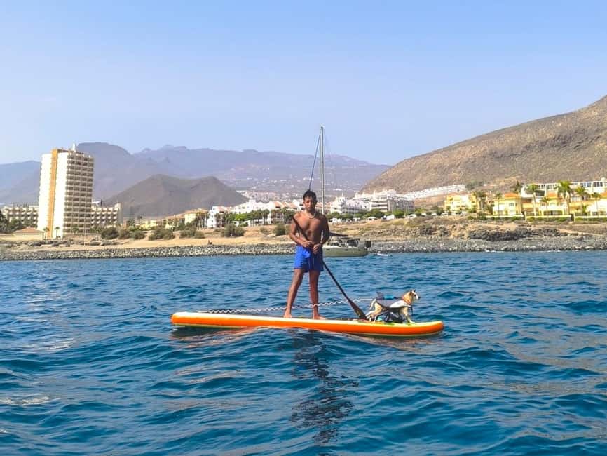 Tenerife: Paddleboard Rental - What you can do beyond cruising, without extra add-ons