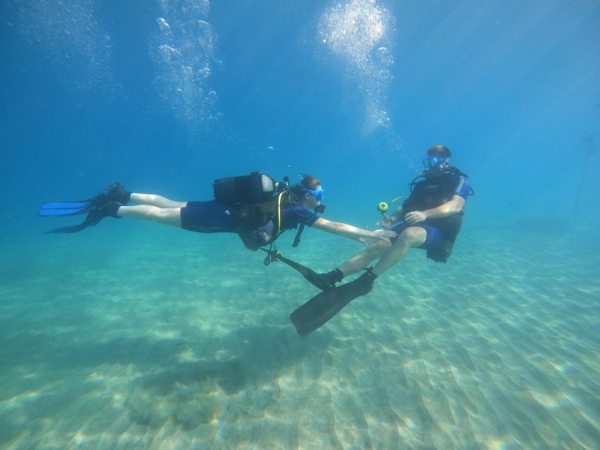 Tenerife: PADI Open Water Diver Course - Key Things You’ll Notice on Tenerife’s PADI Open Water Course