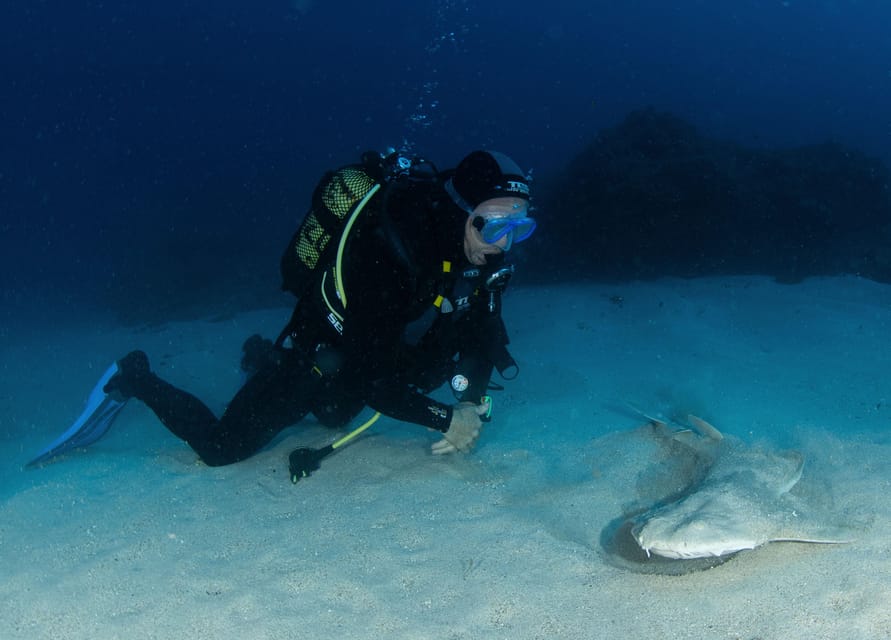 Tenerife: PADI Open Water Diver Course - Your Five In-Water Practice Sessions: How Skills Build Confidence