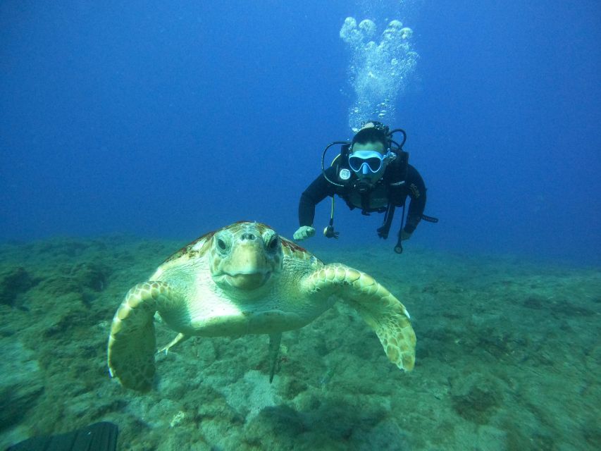 Tenerife: PADI Open Water Diver Course - PADI Open Water Certification: What You Can Do Afterward
