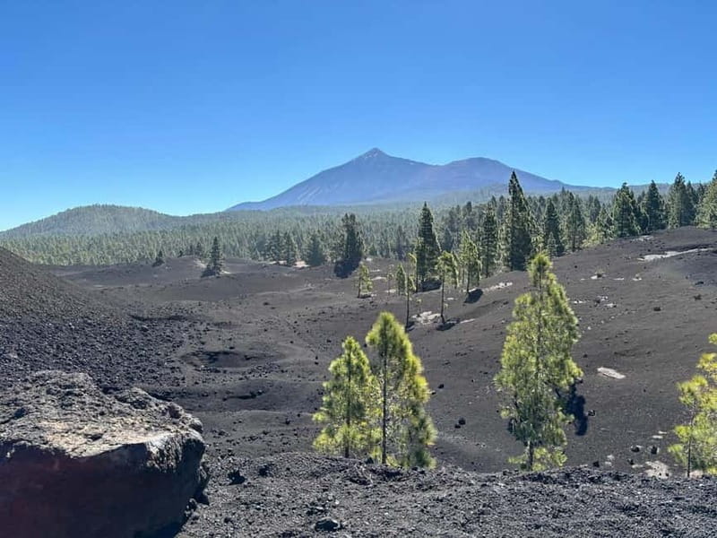 Tenerife: premium e-bike ride at Chineyro volcanic area - Key things to know before you go