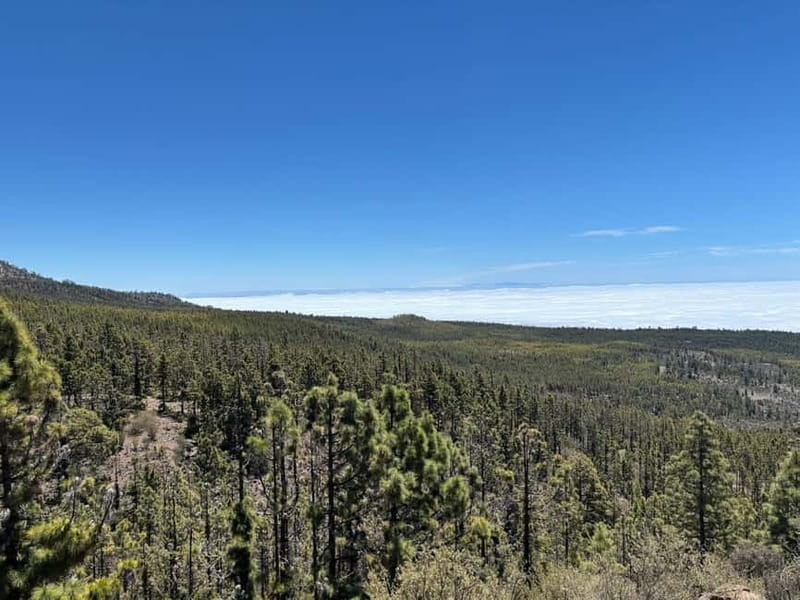 Tenerife: premium e-bike ride at Vilaflor- Lunar Landscape - The bikes: full suspension comfort plus the handy seat controls